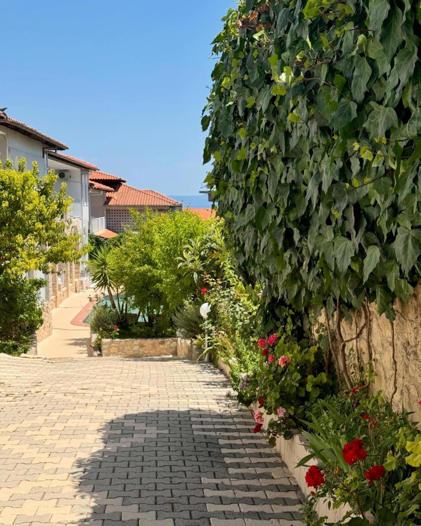 Hotel Pighi Kriopigi Exterior foto